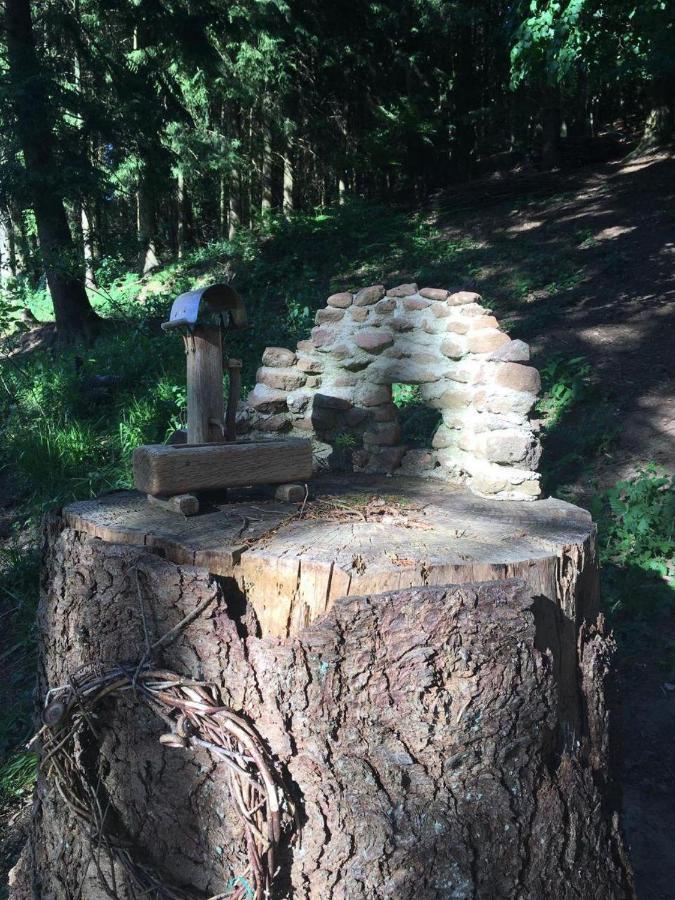 Waldnest Odenwald Hotel Luaran gambar