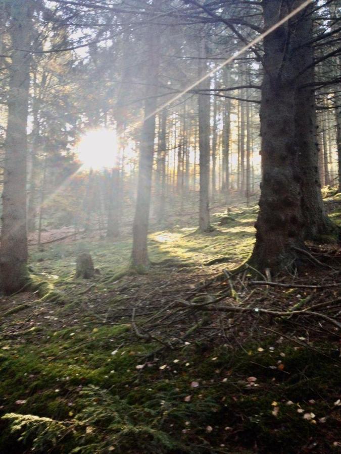 Waldnest Odenwald Hotel Luaran gambar