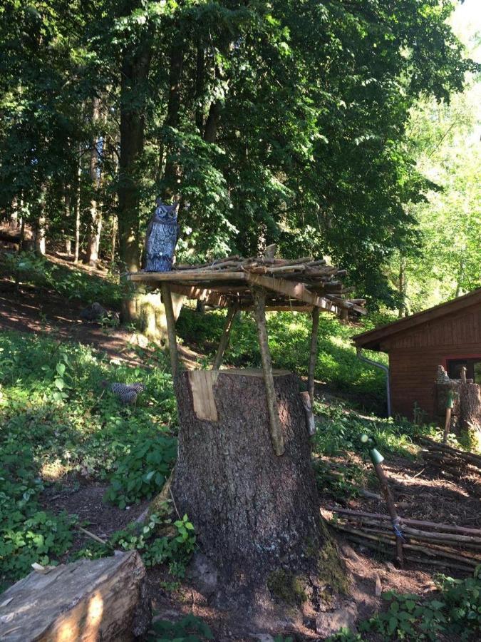 Waldnest Odenwald Hotel Luaran gambar